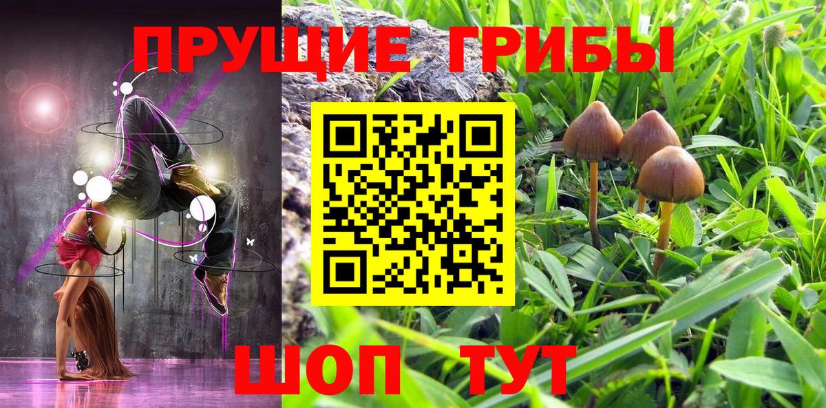 Псилоцибиновые грибы мухоморы Калач-на-Дону