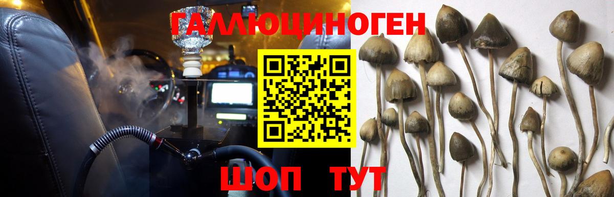 Галлюциногенные грибы Cubensis  Вход с VPN  Калач-на-Дону 