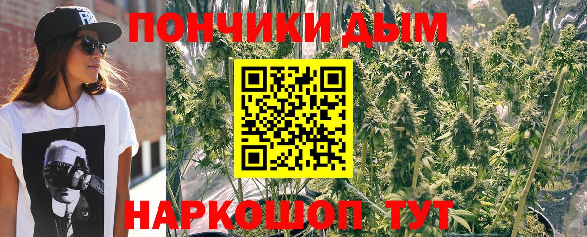 Калач-на-Дону  Каннабис SATIVA & INDICA  Канабис SATIVA & INDICA  Вход с VPN  Каннабис планчик  Конопля индика 